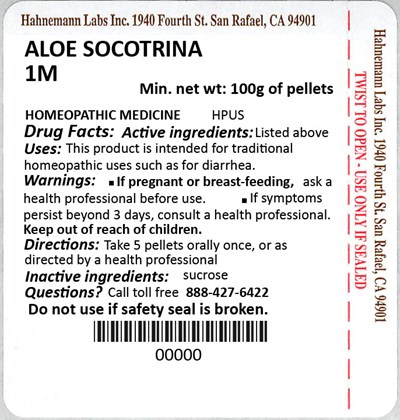 Aloe Socotrina 1M 100g.jpg Aloe Socotrina 1M 100g - Aloe Socotrina 1M 100g